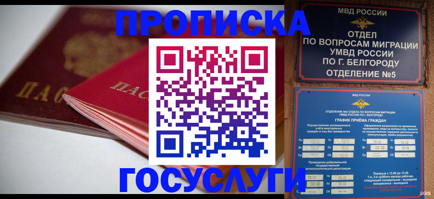 временная регистрация собственник в Клинцах